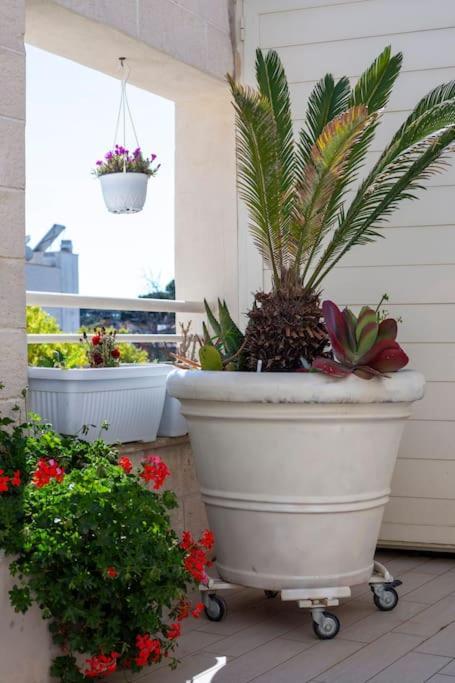 La Suite Sul Borgo Fregenae Exterior foto